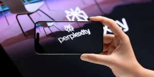 Perplexity
